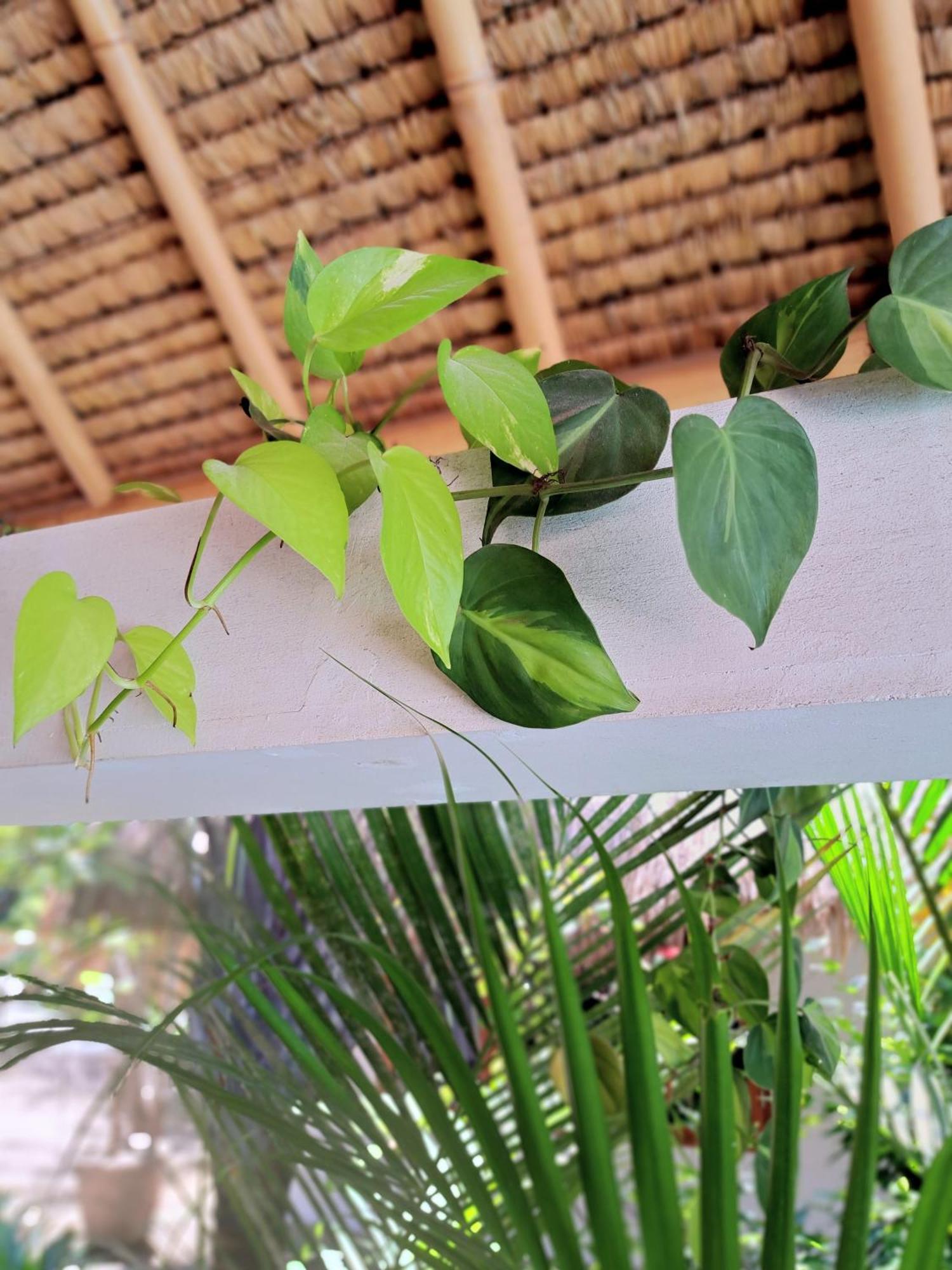 Eden Eco Resort Gili Trawangan Dış mekan fotoğraf